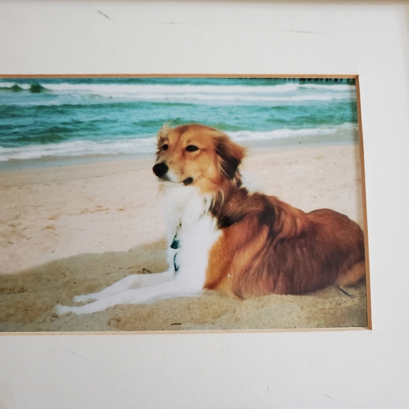 Some of my babies♡ - Picture 13 of 16